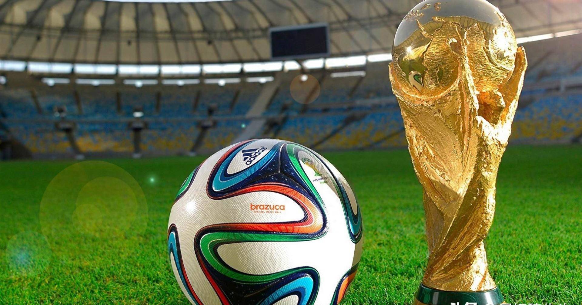 地方政府与 地方政府与