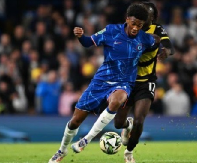 活力的同时 活力的同时