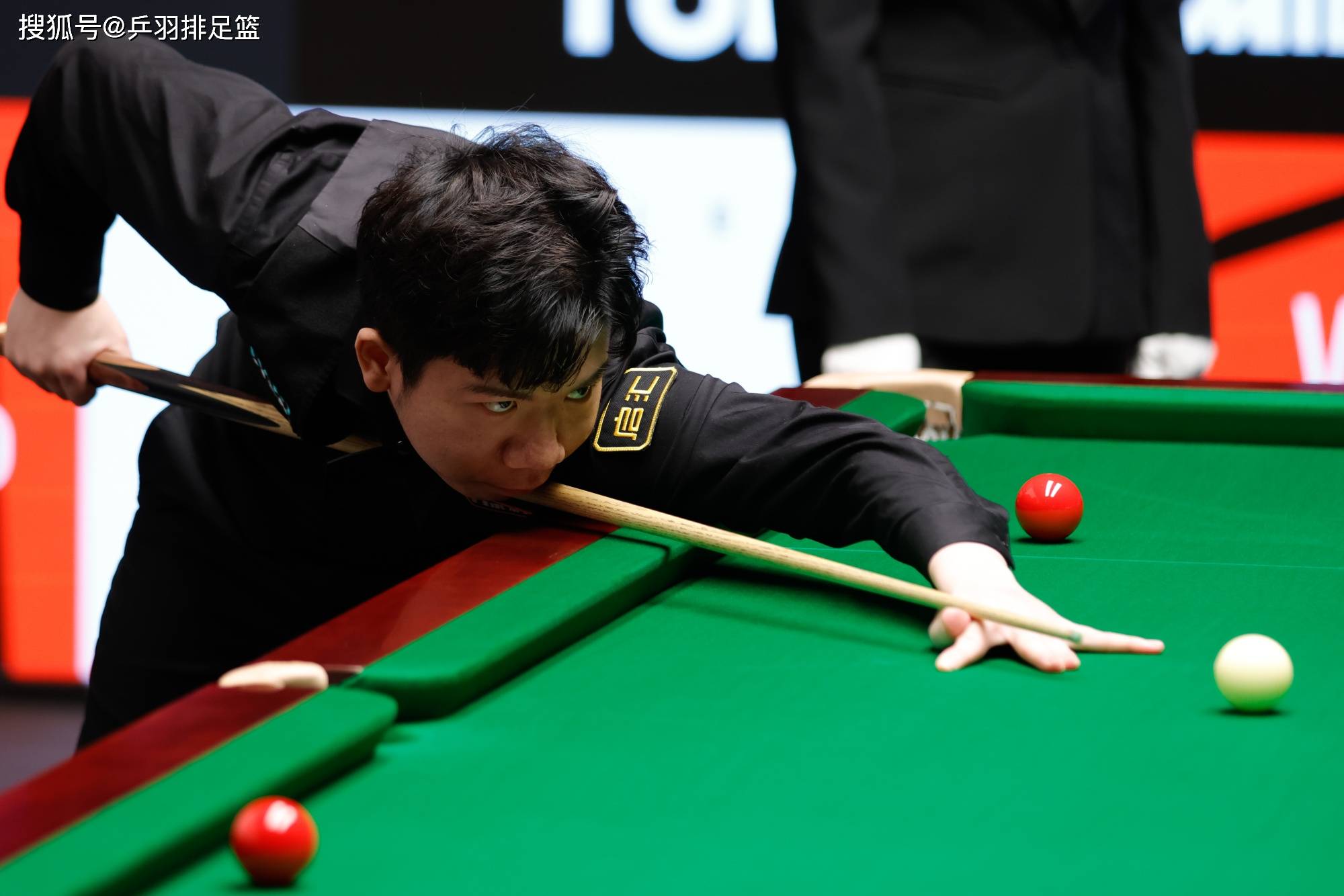 定性提供了 定性提供了