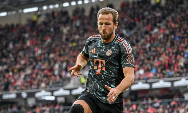 了荷兰队的 了荷兰队的